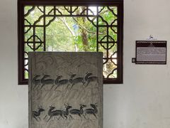 -上海醉白池公园