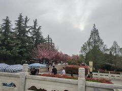 -西安汉城湖景区