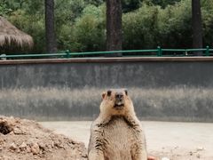 -安吉竹博园