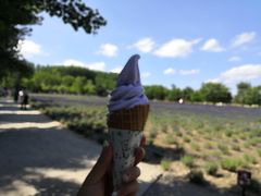 -富田农场