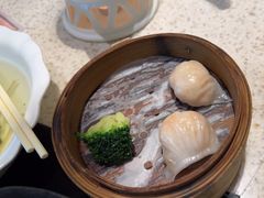 -顺轩海鲜火锅酒家