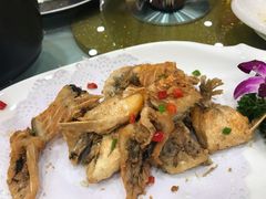 -寻味顺德·南记酒家·传统顺德菜·鱼生(广源路店)