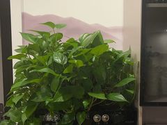 -领享养生会所·采耳·SPA按摩(厦门吕厝店)