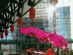 -北京保利大厦酒店(东四十条地铁站店)