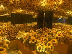 -梵高星空艺术馆(北京旗舰店)