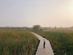 -永定河休闲森林公园