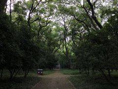 -灵谷景区