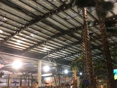 -南宫温泉水世界