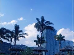 -月亮湾湿地公园