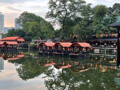 -侨美·唐荔园·40年地道粤菜