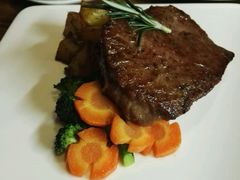 -百好乐宠物友好餐厅(朝外大街店)