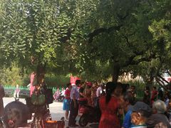 -双榆树公园