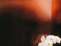 -二酉书店TOYOU BOOKS