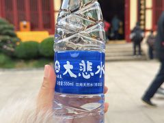 -庐山风景名胜区-东林大佛