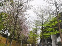 -火炉山森林公园
