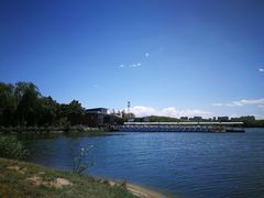 -大兴滨河森林公园