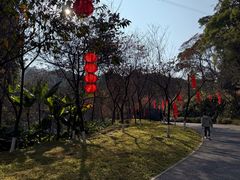 -广州市帽峰山景区