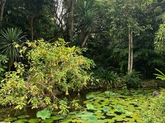 -中国科学院西双版纳热带植物园