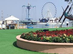 -秦皇岛乐岛海洋王国