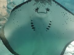 -泉城欧乐堡海洋极地世界