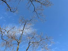 -上海山野camping·户外天幕烧烤·团建拓展营地