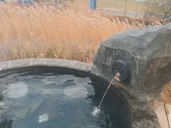 -青岛海泉湾度假区温泉