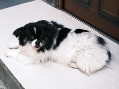 -奎星楼街