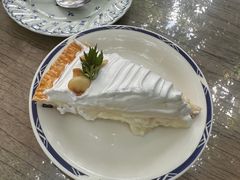 -Fern Forest Cafe