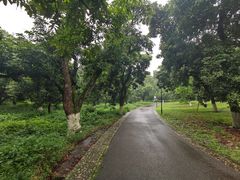 -张坝桂圆林公园