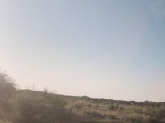 -御道口草原森林风景区-游客咨询处