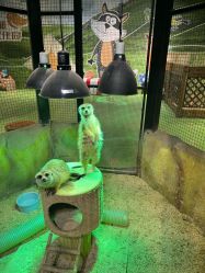 -酷嗒动物文化乐园(cutezoo西溪乐天城店)