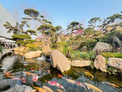 -罗红摄影艺术馆