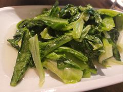 -陈麻婆豆腐(旗舰店)