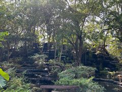-绿光森林餐厅