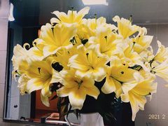 -农汤老店(顺联公园里店)