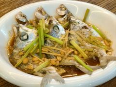 -日日香卤鹅饭店·澄海狮头鹅(澄海店)