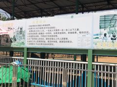-秦皇岛野生动物园