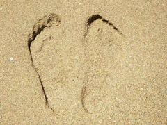 -西涌国际滨海旅游区