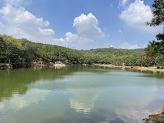 -南京市无想山景区