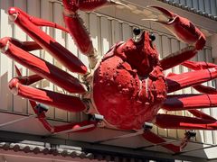 -蟹道乐(道顿堀本店)