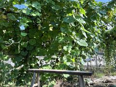 -小乡小镇·传承桐庐土菜·老板亲自烧的菜