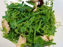 辣木苗鲜桃仁-悦融琥珀·京鲁菜·海味珍品(西单店)