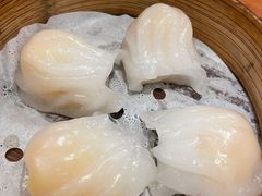 虾饺-捷信牛奶甜品世家(五道口店)