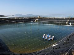 -汕尾风车岛