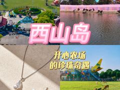 -苏州太湖西山岛开心农场