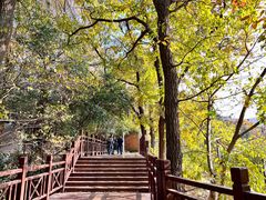 -紫金山山顶公园