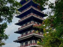 -宜兴龙背山森林公园