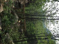 大岭沟猕猴桃谷风景区-大岭沟猕猴桃谷风景区