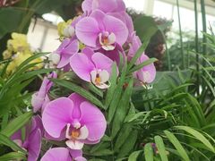 -石家庄市植物园