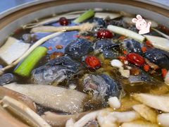 -土连锅·现熬养生汤锅(梁家巷店)